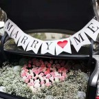 拉旗 I Love You & Marry Me
